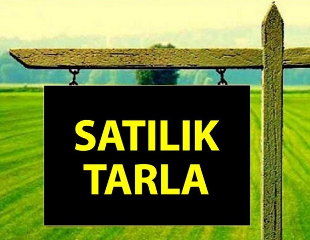 SİLİFKE TOSMURLUDA SATILIK 1.5 DÖNÜM TARLA